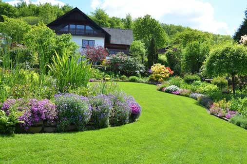 hillside landscaping
